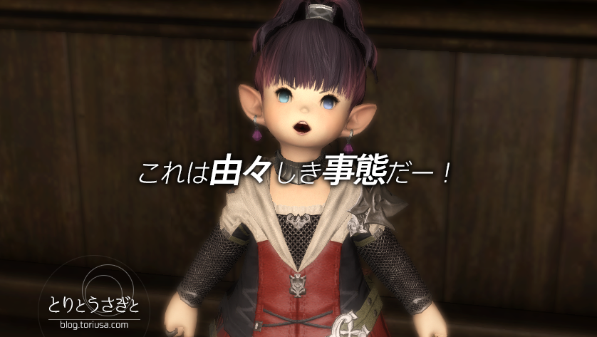 とりとうさぎと Ffxiv これは由々しき事態だー