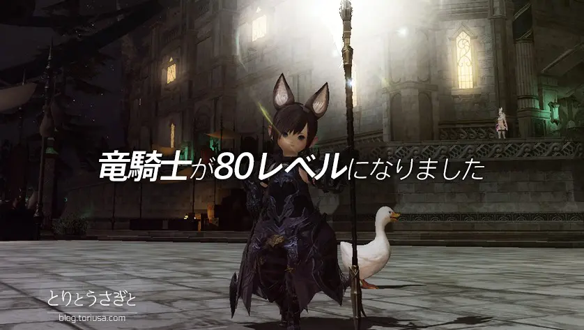 とりとうさぎと Ff14 竜騎士が80レベルになりました